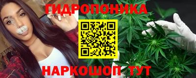 spice Можга