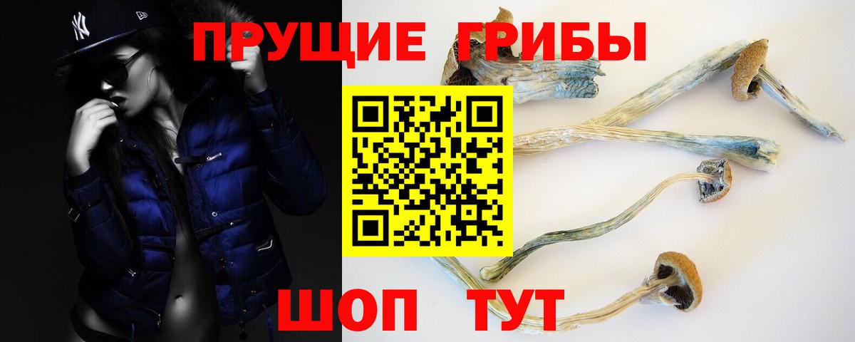 Галлюциногенные грибы мицелий Воркута